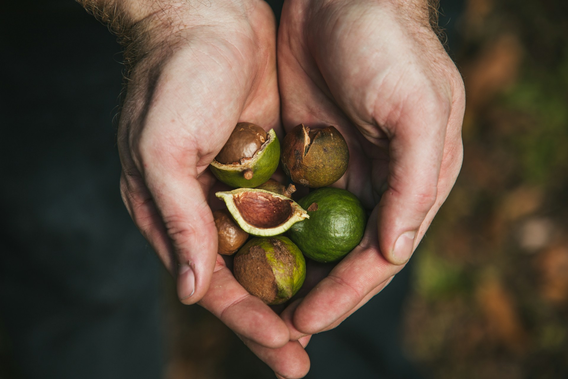 de lekkerste macadamianoten